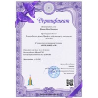 Сертификат участника второго Всероссийского педаго..